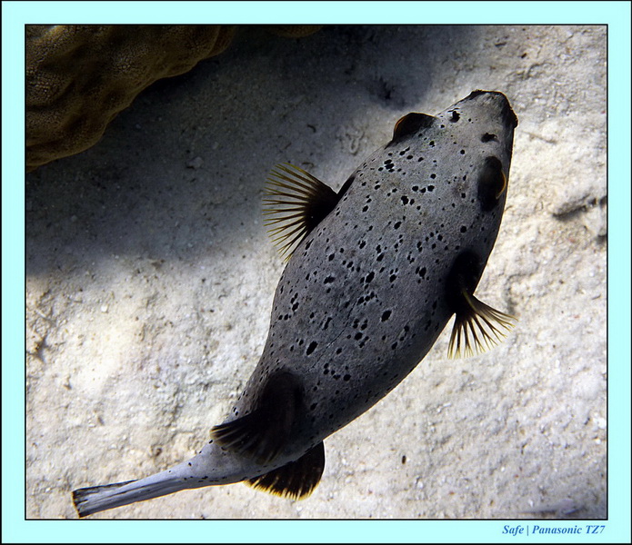 2012 - 03 - Koh Ha 12